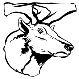 54dd0421a910eab2ca6482c484e844cd268fcd3e.png