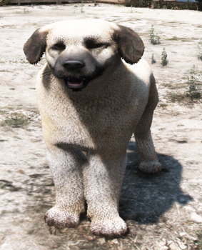 c87acd4cc507390e0b192428cc9e5efca823e809.png