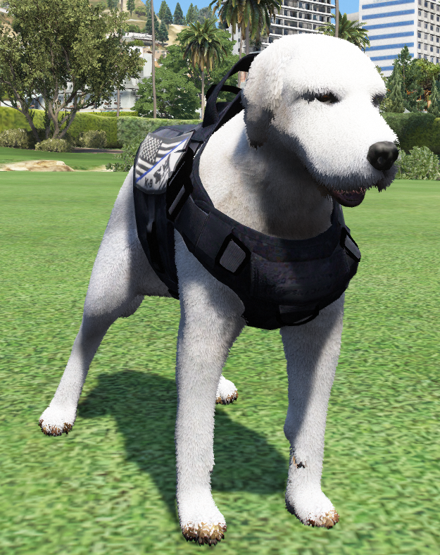 ce87ab901f89305c81d054810d25b4d251240f29.png