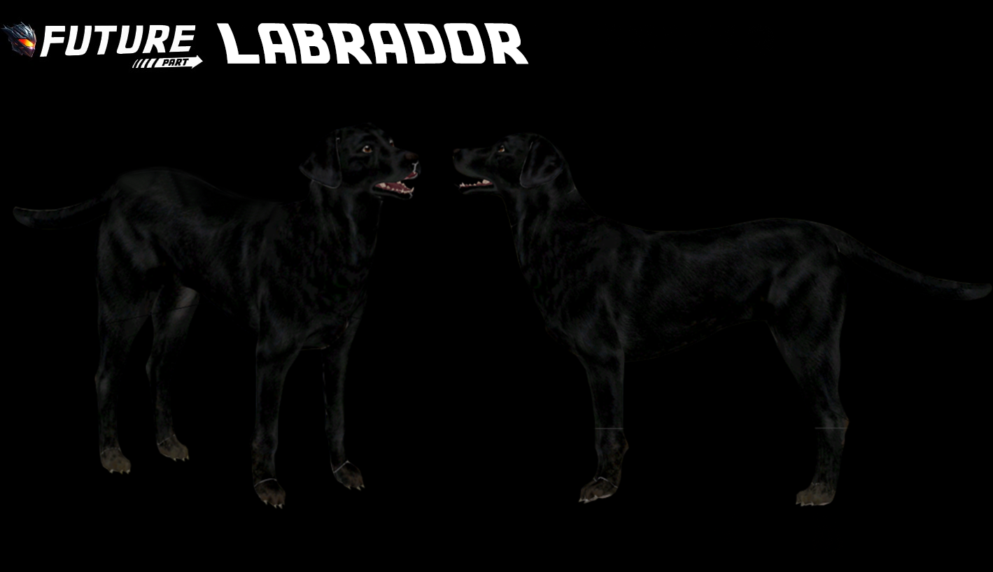 d4f8578b91bd661bbf39dbcecdf012f5948cc65b.png